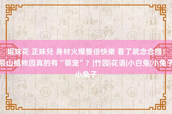 姐妹花 正妹兒 身材火爆雙倍快樂 看了就念念撸！辰山植物园真的有“萌宠”？|竹园|花语|小白兔|小兔子