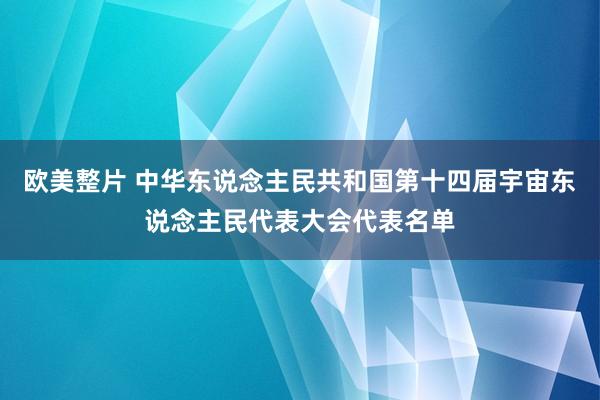 欧美整片 中华东说念主民共和国第十四届宇宙东说念主民代表大会代表名单