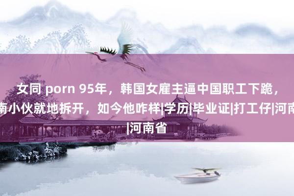 女同 porn 95年，韩国女雇主逼中国职工下跪，河南小伙就地拆开，如今他咋样|学历|毕业证|打工仔|河南省