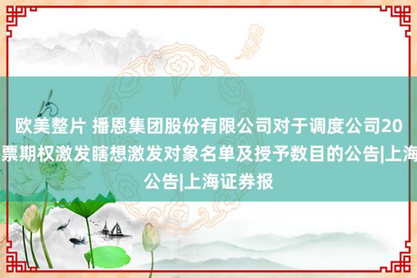 欧美整片 播恩集团股份有限公司对于调度公司2024年股票期权激发瞎想激发对象名单及授予数目的公告|上海证券报