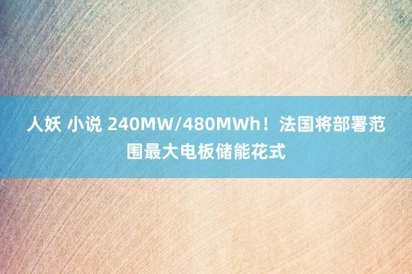 人妖 小说 240MW/480MWh！法国将部署范围最大电板储能花式