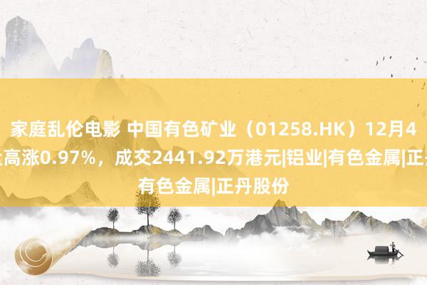 家庭乱伦电影 中国有色矿业（01258.HK）12月4日收盘高涨0.97%，成交2441.92万港元|铝业|有色金属|正丹股份