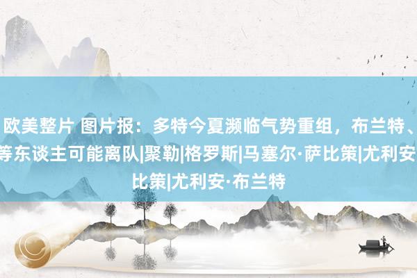 欧美整片 图片报：多特今夏濒临气势重组，布兰特、萨比策等东谈主可能离队|聚勒|格罗斯|马塞尔·萨比策|尤利安·布兰特