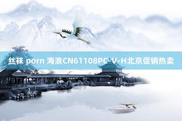 丝袜 porn 海浪CN61108PC-V-H北京促销热卖