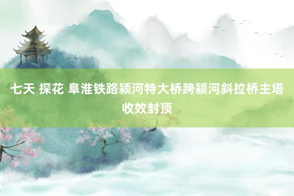七天 探花 阜淮铁路颍河特大桥跨颍河斜拉桥主塔收效封顶