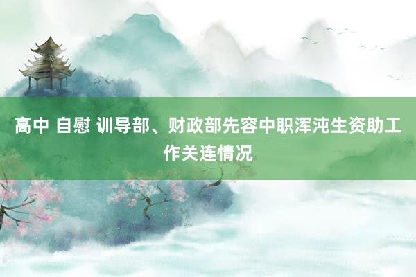 高中 自慰 训导部、财政部先容中职浑沌生资助工作关连情况