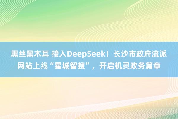 黑丝黑木耳 接入DeepSeek！长沙市政府流派网站上线“星城智搜”，开启机灵政务篇章