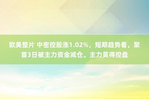 欧美整片 中密控股涨1.02%，短期趋势看，聚首3日被主力资金减仓。主力莫得控盘
