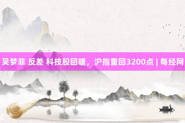 吴梦菲 反差 科技股回暖，沪指重回3200点 | 每经网