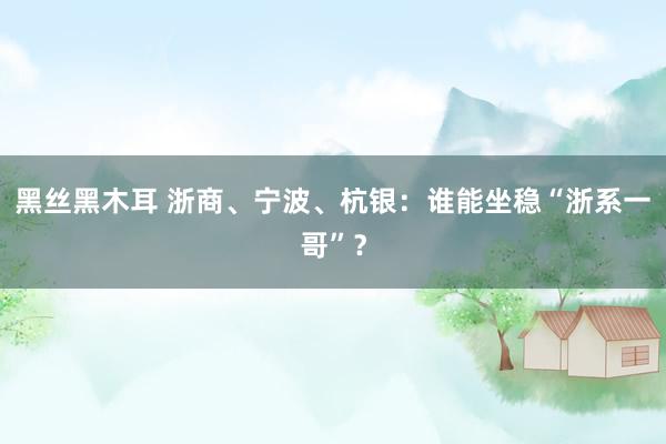 黑丝黑木耳 浙商、宁波、杭银：谁能坐稳“浙系一哥”？