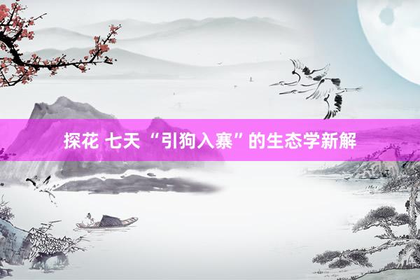探花 七天 “引狗入寨”的生态学新解