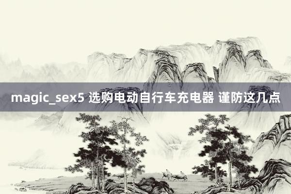 magic_sex5 选购电动自行车充电器 谨防这几点