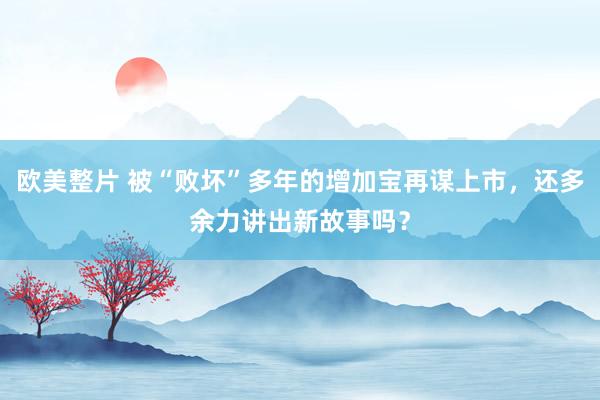 欧美整片 被“败坏”多年的增加宝再谋上市，还多余力讲出新故事吗？