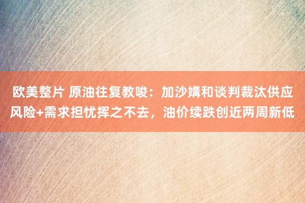 欧美整片 原油往复教唆：加沙媾和谈判裁汰供应风险+需求担忧挥之不去，油价续跌创近两周新低