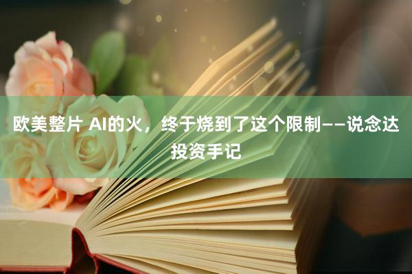 欧美整片 AI的火，终于烧到了这个限制——说念达投资手记