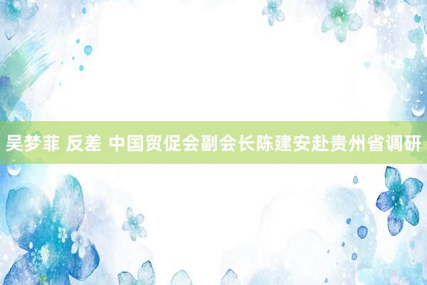 吴梦菲 反差 中国贸促会副会长陈建安赴贵州省调研