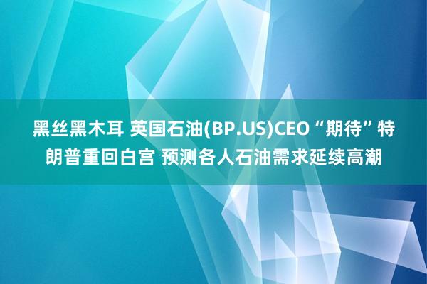 黑丝黑木耳 英国石油(BP.US)CEO“期待”特朗普重回白宫 预测各人石油需求延续高潮