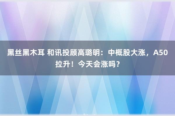 黑丝黑木耳 和讯投顾高璐明：中概股大涨，A50拉升！今天会涨吗？