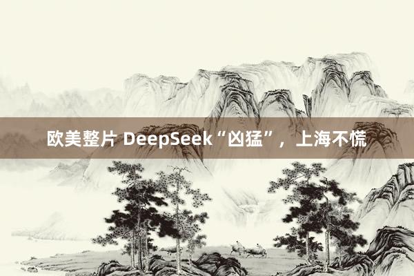 欧美整片 DeepSeek“凶猛”，上海不慌