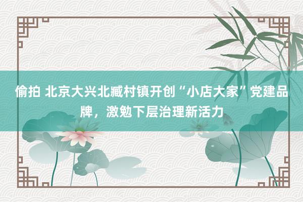 偷拍 北京大兴北臧村镇开创“小店大家”党建品牌，激勉下层治理新活力